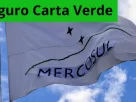 Seguro Carta Verde para viagens na América do Sul.
